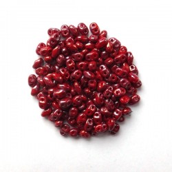 MATUBO Miniduo ™ Nebula Coral...