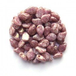 PRECIOSA Pip™ Alabaster...
