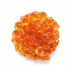 Matubo Ginko™ Transparent...