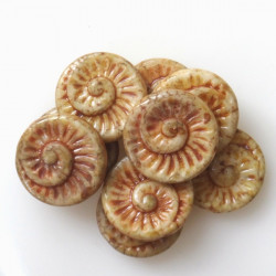 Korálky Ulita (Fossil Shell...